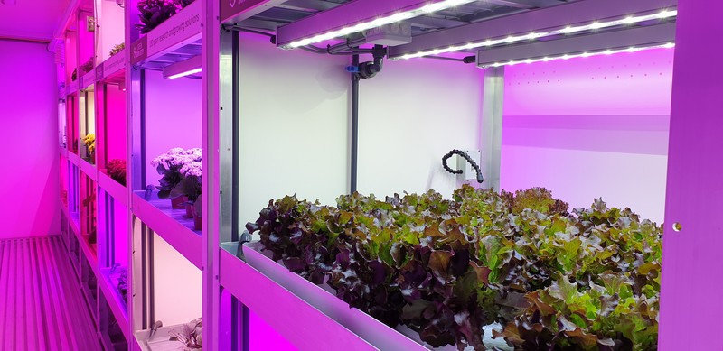 Toepassing IoT in tuinbouw Toepassing IoT in tuinbouw